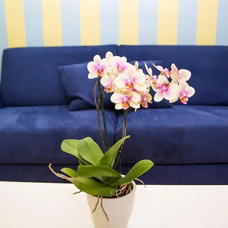 Lemon Flats Bed & Breakfast 4*