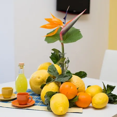 B&B 레몬 플랫 소렌토