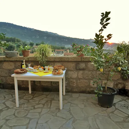 B&B 레몬 플랫 4*